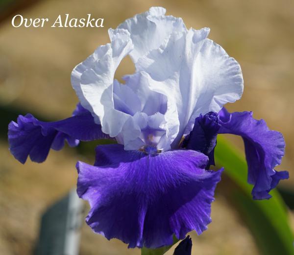 Over Alaska2